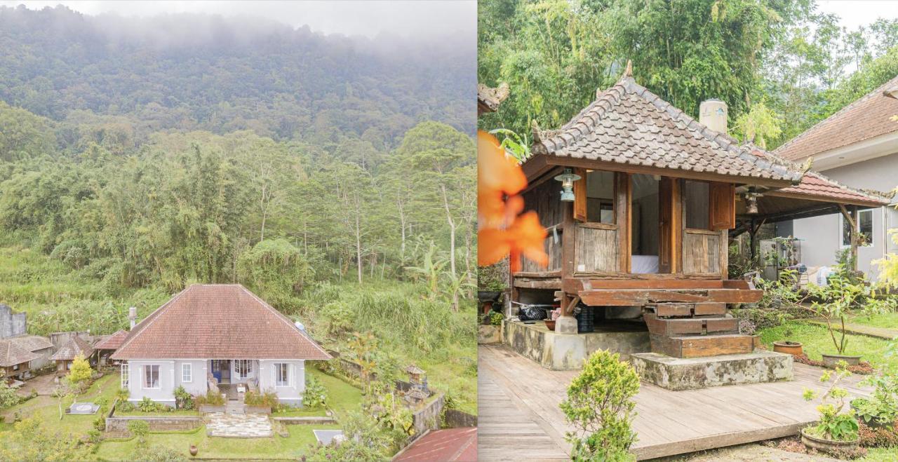 Four Monkeys House By Bukit Vista Bedugul (Bali) Exterior foto
